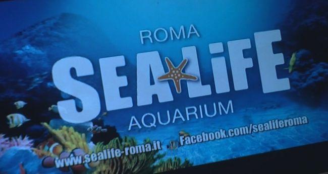 EUR – Rome’s Future City and the Sea Life Centre